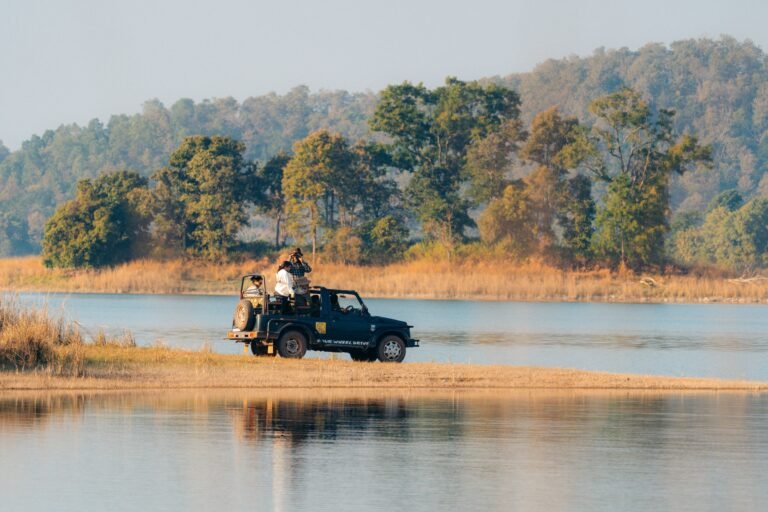 Corbett National Park Safari Packages Explore Tigers and Nature with Ameliya Safaris